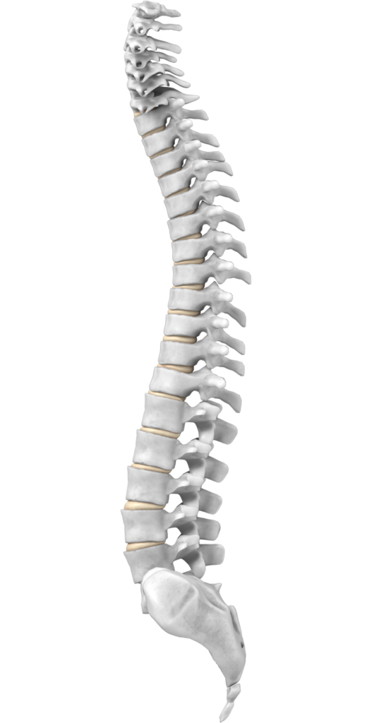 Osteopatia e Postura
